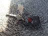 1FDWF37P53E****** Repairable 2003 Ford F-350 in Specialty Division