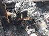 2C3HD46R5YH****** Salvamento 2000 Chrysler Concorde en Columbus