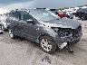 1FMCU0HD7KU****** Salvage and Wrecked 2019 Ford Escape in Raleigh