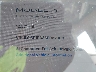 5YJ3E1EA3SF****** Salvage 2025 Tesla Model 3