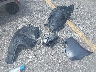 3N1AB7AP3HL****** Wrecked 2017 Nissan Sentra in Iowa State