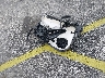 JM1BM1V75E1****** Wrecked 2014 Mazda 3 in Florida State