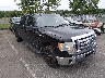 1FTFW1EV2AF****** Salvamento y Destrozados 2010 Ford F-150 en Englishtown