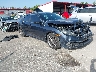 19XFC1F76LE****** Salvamento y Destrozados 2020 Honda Civic en West Palm Beach