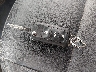 3VWJP7ATXCM****** Salvamento 2012 Volkswagen Beetle en Estado de Maine
