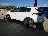 KNDPM3AC8M7****** Repairable 2021 Kia Sportage in Florida State