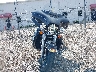 1HD1KED10HB****** Used and Repairable 2017 Harley-Davidson Ultra Limited in Illinois State