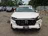 5FNYG1H49SB****** Salvamento 2025 Honda Pilot en Estado de Nueva York