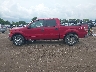 1FTFW1EV7AK****** Salvage 2010 Ford F-150
