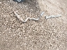 1FTFW1EV7AK****** Wrecked 2010 Ford F-150 in Iowa State