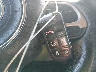 ZACCJABB7HP****** Salvage 2017 Jeep Renegade in Texas State