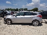 1FADP3K26GL****** Salvage 2016 Ford Focus