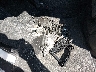 5UXKR0C31H0****** Wrecked 2017 BMW X5 in South Carolina State