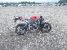 JH2PC40089K****** Destrozados 2009 Honda CBR600RR en Estado de Maryland