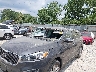 5XYPG4A3XHG****** Salvage and Repairable 2017 Kia Sorento in Ohio State
