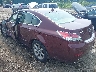 19UUA8F25CA****** Salvamento y Reparables 2012 Acura TL en Long Island