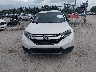 2HKRW6H39KH****** Usados 2019 Honda CR-V en Estado de Kentucky