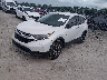 2HKRW6H39KH****** Usados y Reparables 2019 Honda CR-V en Louisville North