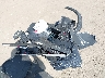 7MUAAABG7PV****** Wrecked 2023 Toyota Corolla Cross in Tennessee State