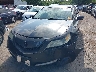 19UUA86559A****** Wrecked 2009 Acura TL in Oklahoma State
