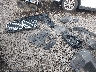 5UXCR4C01N9****** Wrecked 2022 BMW X5 in Louisiana State