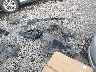 5UXCR4C01N9****** Repairable 2022 BMW X5
