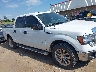1FTFW1ET8DF****** Repairable 2013 Ford F-150 in Oklahoma State