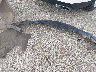 5J8YE1H8XPL****** Wrecked 2023 Acura MDX in Ohio State