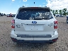 JF2SJAMC4EH****** Usados 2014 Subaru Forester