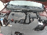 5NPE24AF0GH****** Reparables 2016 Hyundai Sonata en Appleton