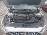 5NPE34AF1KH****** Reparables 2019 Hyundai Sonata en Boston Shirley