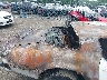 2T87M5N5***** Salvamento y Reparables 1975 Pontiac Firebird en Estado de Virginia