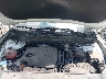 5XYRG4LCXNG****** Repairable 2022 Kia Sorento in Tidewater