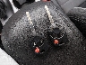 1FMCU9G93FU****** Salvamento 2015 Ford Escape en Estado de Maine