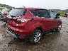 1FMCU9GD7HU****** Salvamento y Destrozados 2017 Ford Escape en Estado de Virginia Occidental