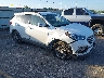 5NMZU3LBXHH****** Salvage and Wrecked 2017 Hyundai Santa Fe in Houston