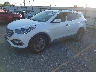 5NMZU3LBXHH****** Used and Repairable 2017 Hyundai Santa Fe in Houston