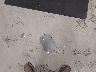 3GNAXKEV9KS****** Wrecked 2019 Chevrolet Equinox in Idaho State