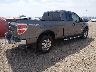 1FTFX1ET9DF****** Salvage and Wrecked 2013 Ford F-150 in Colorado State
