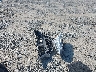 1N4BL4CVXKC****** Wrecked 2019 Nissan Altima in Georgia State