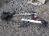 1FA6P8CF7L5****** Wrecked 2020 Ford Mustang in Tennessee State