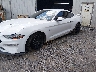 1FA6P8CF7L5****** Salvage and Repairable 2020 Ford Mustang in Tennessee State