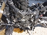 WB10E6308R6****** Destrozados 2024 BMW S 1000 RR en Rec Rides Online Exclusive