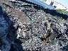 1GTG5CE33G1****** Salvage 2016 GMC Canyon in Tulsa