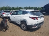 5NMJA3DE8SH****** Salvamento y Reparables 2025 Hyundai Tucson en Long Island