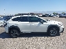 JF2GTHRC2MH****** Reparables 2021 Subaru Crosstrek en Estado de Arizona