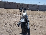 1HD1YJ913SB****** Salvage and Repairable 2025 Harley-Davidson Street Bob in Arizona State