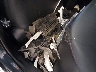 5YFT4MCE1RP****** Wrecked 2024 Toyota Corolla in Tennessee State