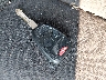 1C4BJWDG0FL****** Salvage 2015 Jeep Wrangler in Pennsylvania State