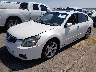 1N4BA41E28C****** Used and Repairable 2008 Nissan Maxima in El Paso